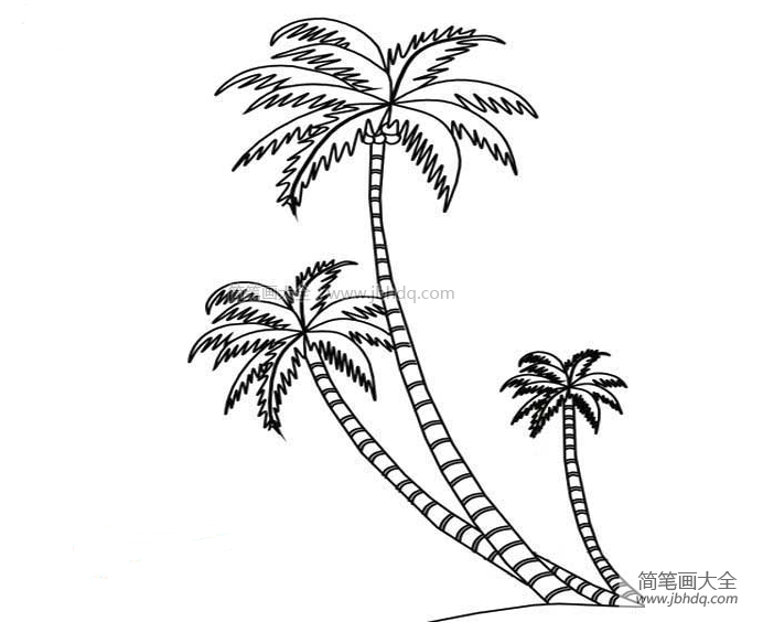 椰树简笔画图片