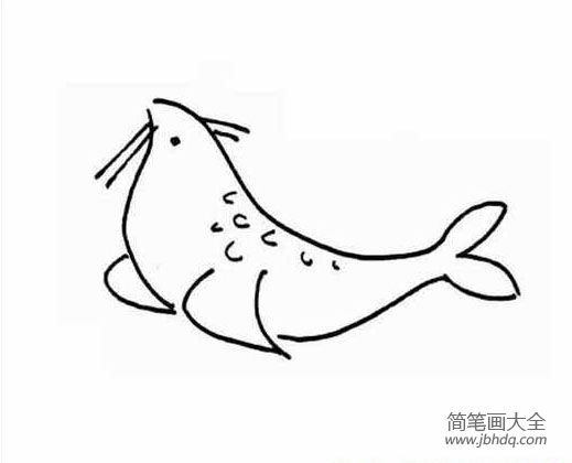 儿童简笔画图片 海豹