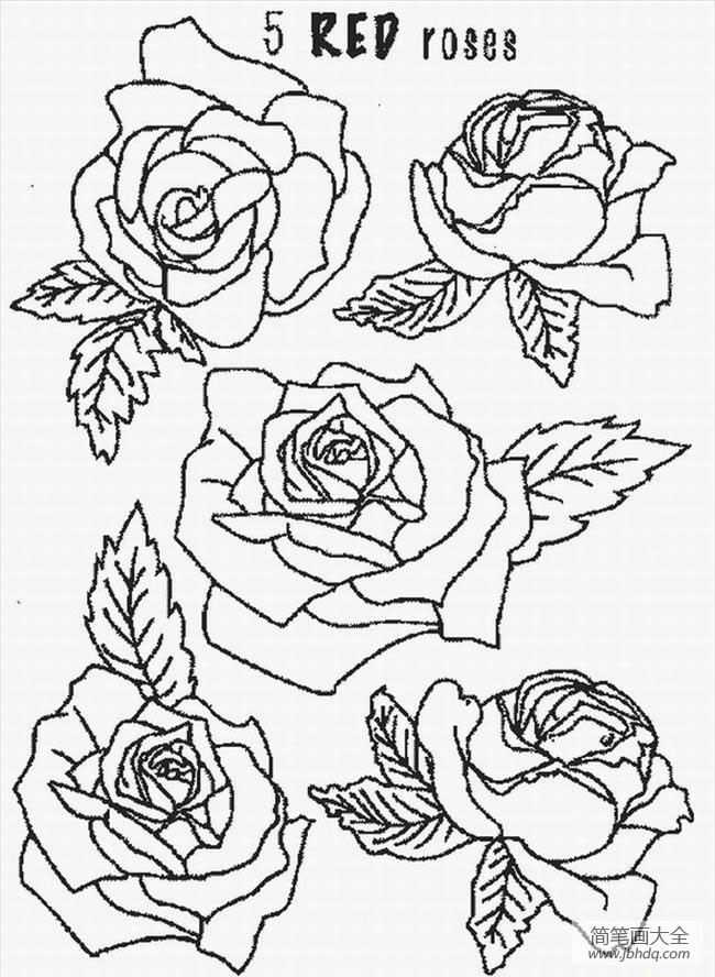 花朵简笔画图片 红玫瑰简笔画