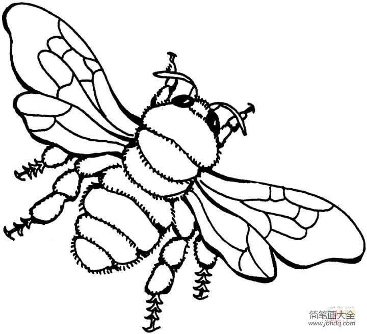 蜜蜂的画法大全_昆虫简笔画-简笔画