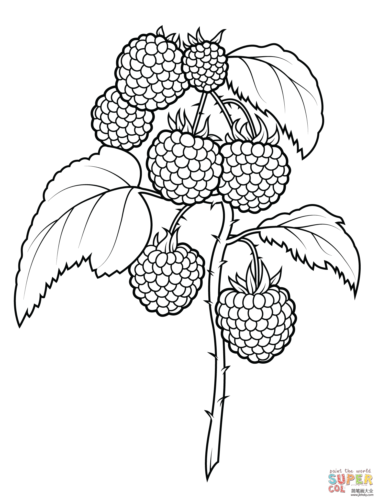 树莓的简单画法 - 水果简笔画_水果简笔画图片