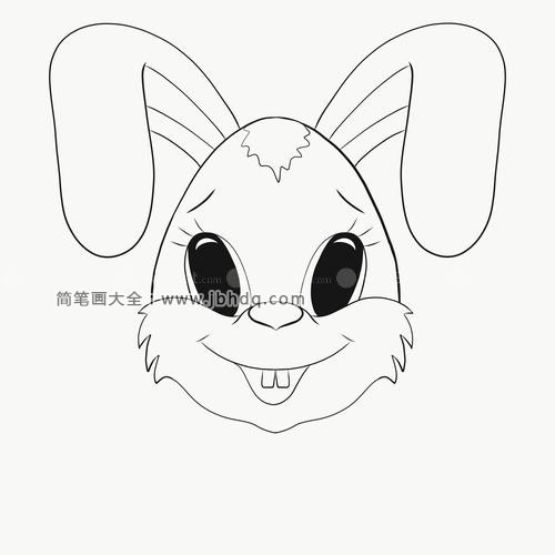 画一只可爱的卡通小兔子