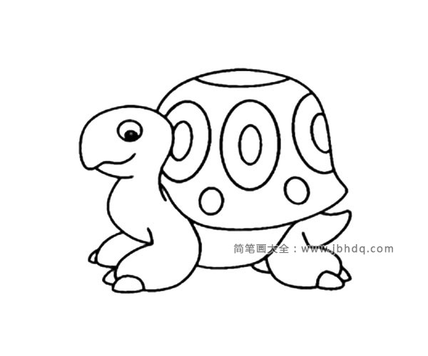 一组可爱的乌龟简笔画图片