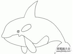 鲸鱼简笔画（海里生物）