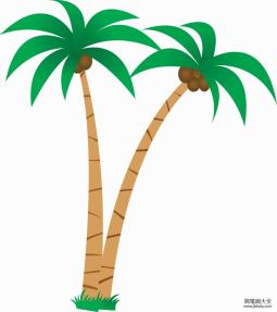 海南椰子树简笔画