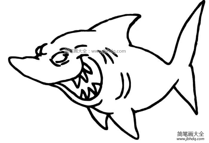坏笑的鲨鱼