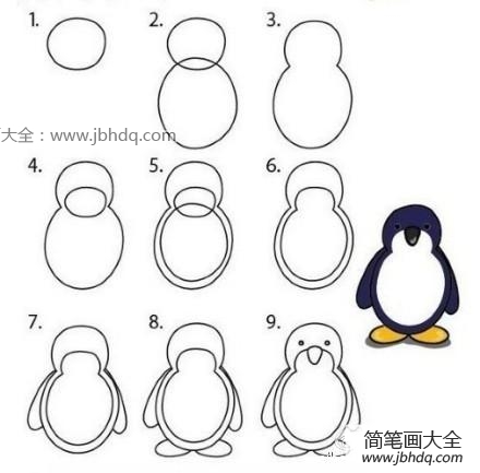 可爱的企鹅简笔画步骤