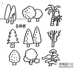 九种大树简笔画
