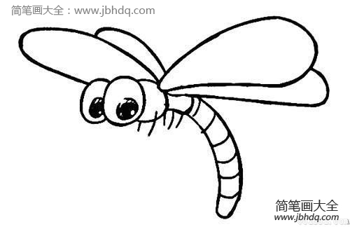 卡通蜻蜓简笔画
