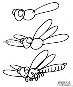 蜻蜓的画法