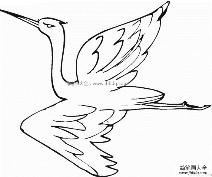 中国鹤简笔画图片
