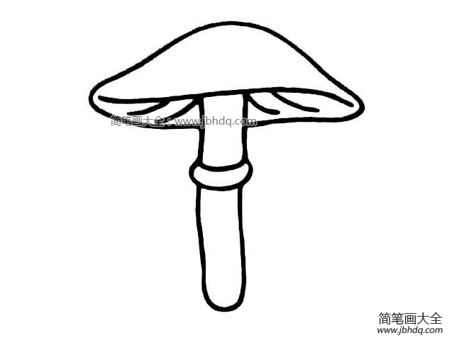 一组蘑菇的简笔画图片