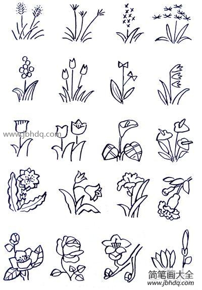 几种花朵的简易画法