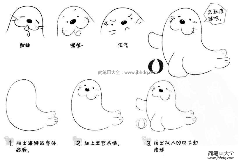 海狮的画法步骤图
