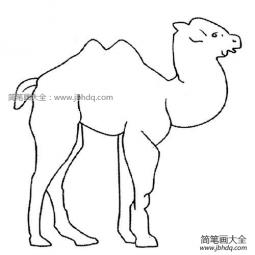 卡通骆驼简笔画图片