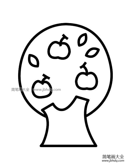 苹果树简笔画图片