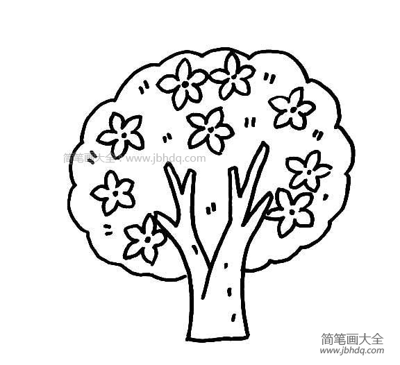 桃花树的图片铅笔画图片