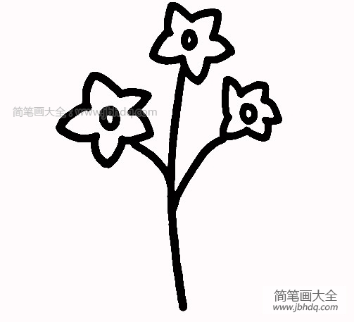 水仙花的简单画法