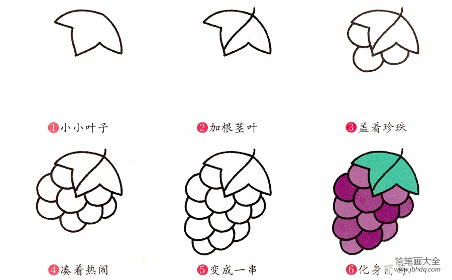 葡萄的简易画法图片
