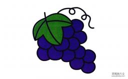 紫葡萄简笔画图片