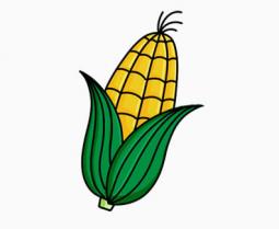 简单的玉米简笔画画法