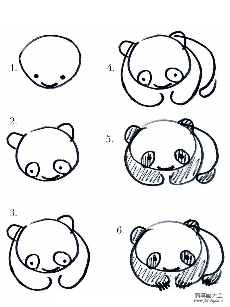 熊猫的简笔画画法图片