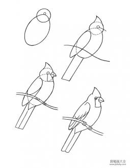 如何画小鸟