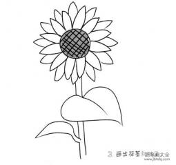 儿童花朵简笔画向日葵