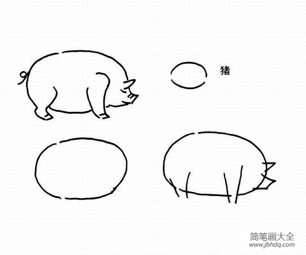 关于猪的简笔画教程