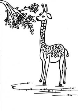 长颈鹿的简笔画画法 