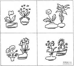 关于植物盆景的简笔画图片