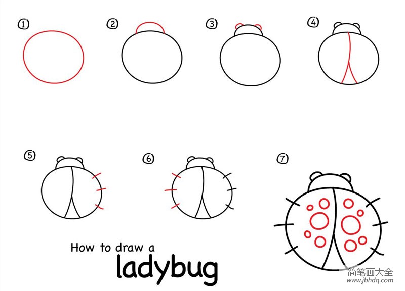 如何画瓢虫 瓢虫的简笔画教程