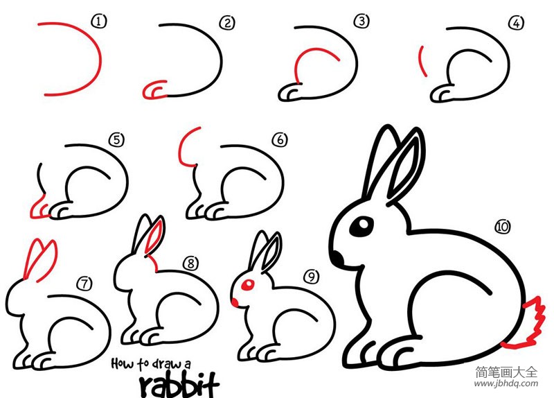 如何画小白兔 小白兔简笔画教程