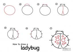 如何画瓢虫 瓢虫的简笔画教程