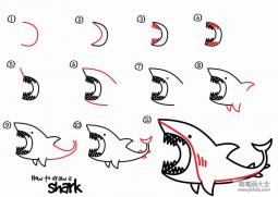 如何画鲨鱼 鲨鱼简笔画教程