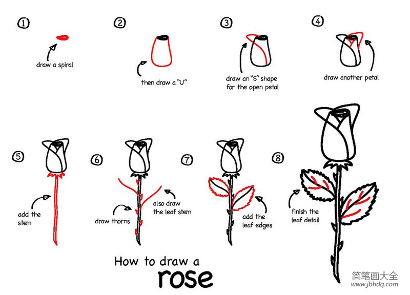 玫瑰花的画法20步图片图片