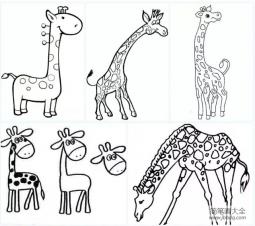 几种长颈鹿的简单画法