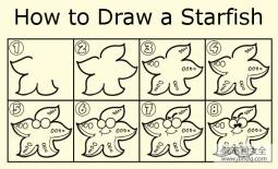 如何画海星 海星的简笔画教程