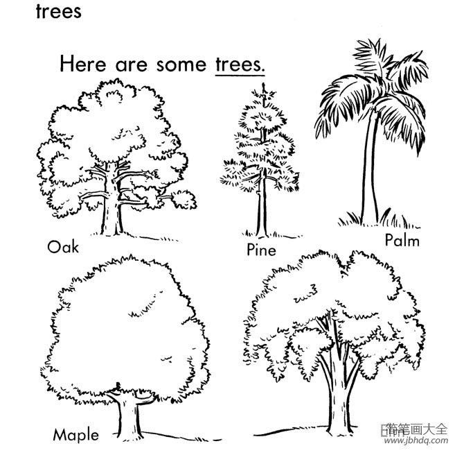 五棵树简笔画图片