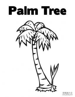植物简笔画大全 椰子树简笔画