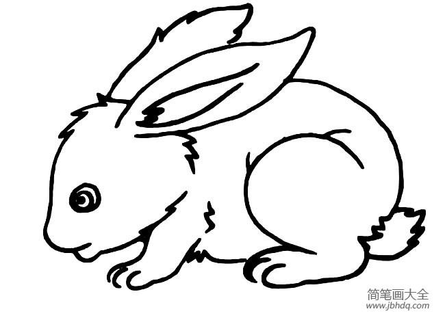 兔子简笔画大全 关于兔子的线描画