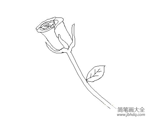 花朵简笔画大全 简单的玫瑰花简笔画