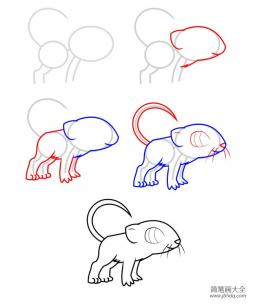动物简笔画教程 小老鼠简笔画步骤图