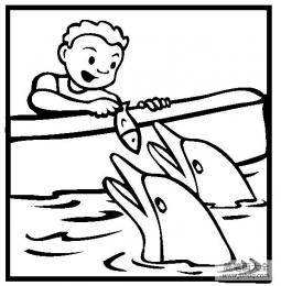 游乐项目简笔画 喂海豚简笔画图片