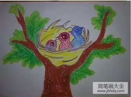 幼儿园小班画画教案设计：《给鸟宝宝搭个窝》