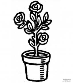 花盆里的玫瑰花简笔画图片
