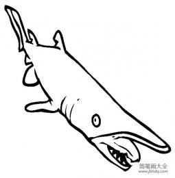 海洋生物图片 哥布林鲨简笔画图片