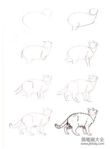 简笔画教程 多种猫的简笔画画法