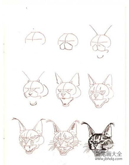 简笔画教程 多种猫的简笔画画法