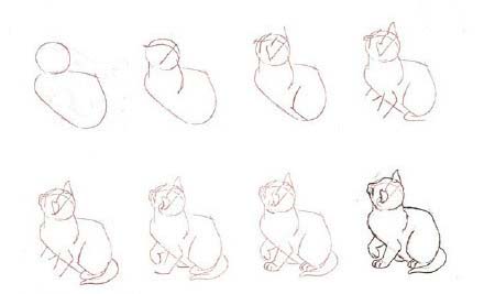 简笔画教程 猫咪的多种简笔画步骤
